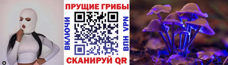 Псилоцибиновые грибы Psilocybine cubensis  закладки  kraken маркетплейс  Калининец 